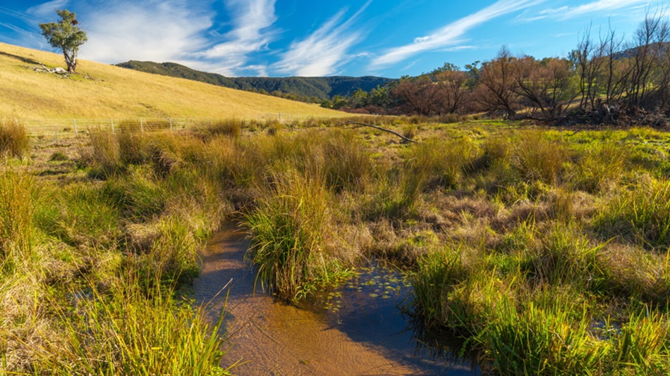 A small stream trickles through a grassy landscape. 