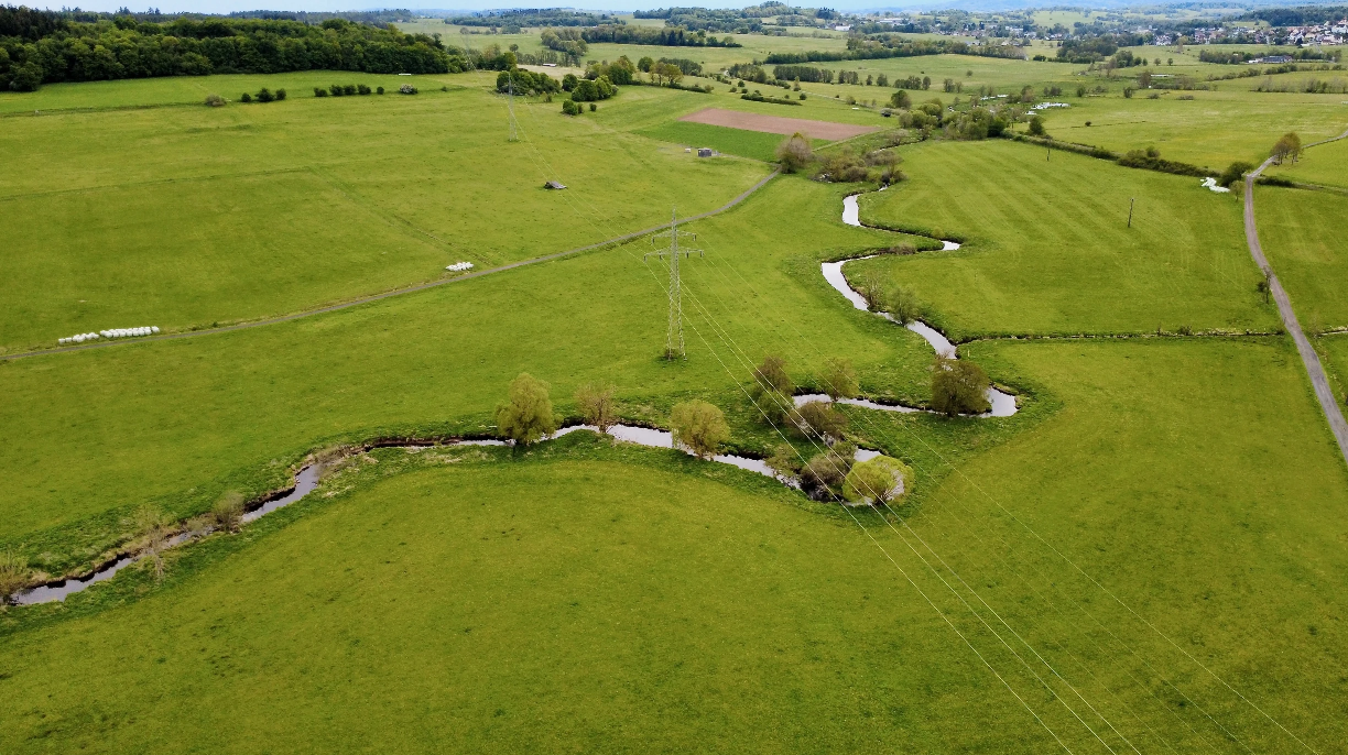 A wide view of small creek winding through a lush, green landscape. 