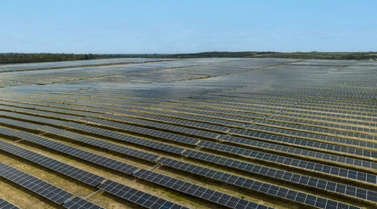 Rows of solar panels in a dry field.