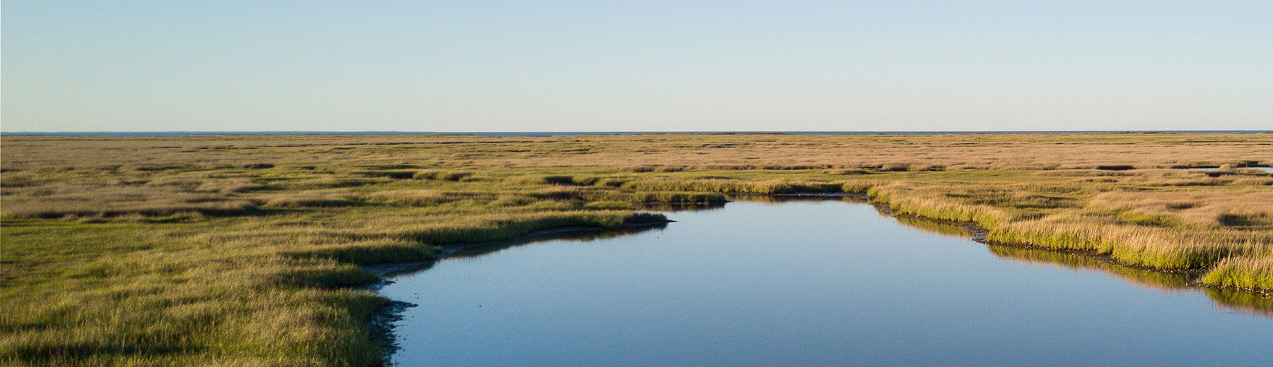 Water and grasses cut into a hillside. 