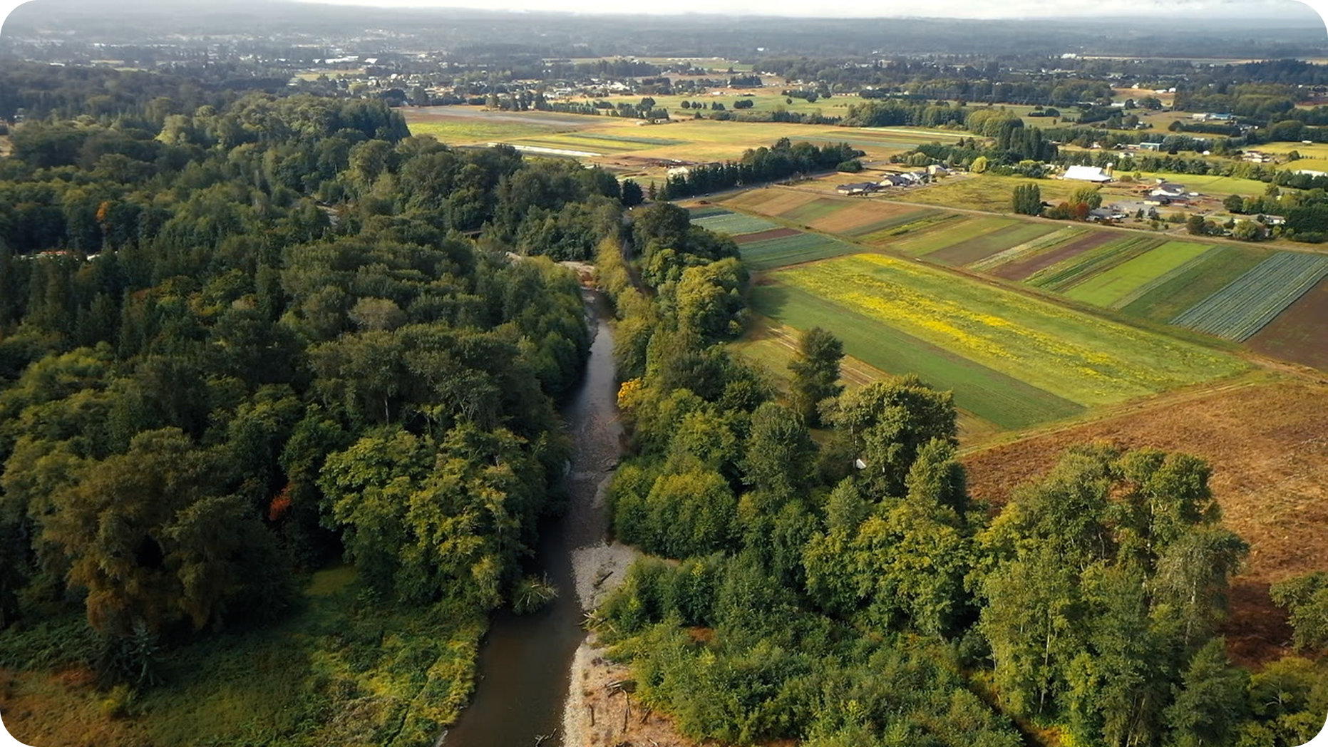 River through forested land
