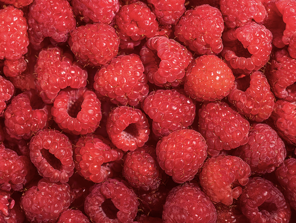 A close-up view of raspberries. 