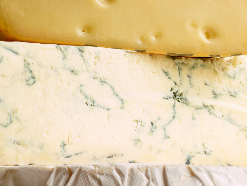 A close-up view of assorted cheeses. 