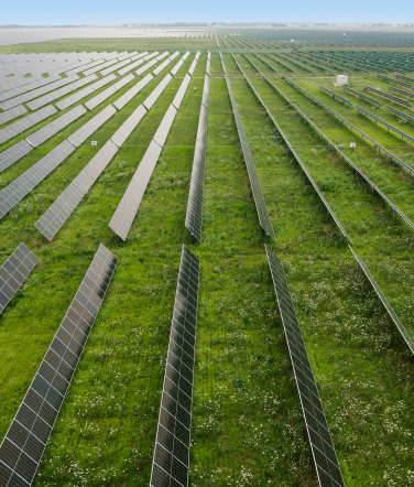  Rows of solar panels in green fields. 