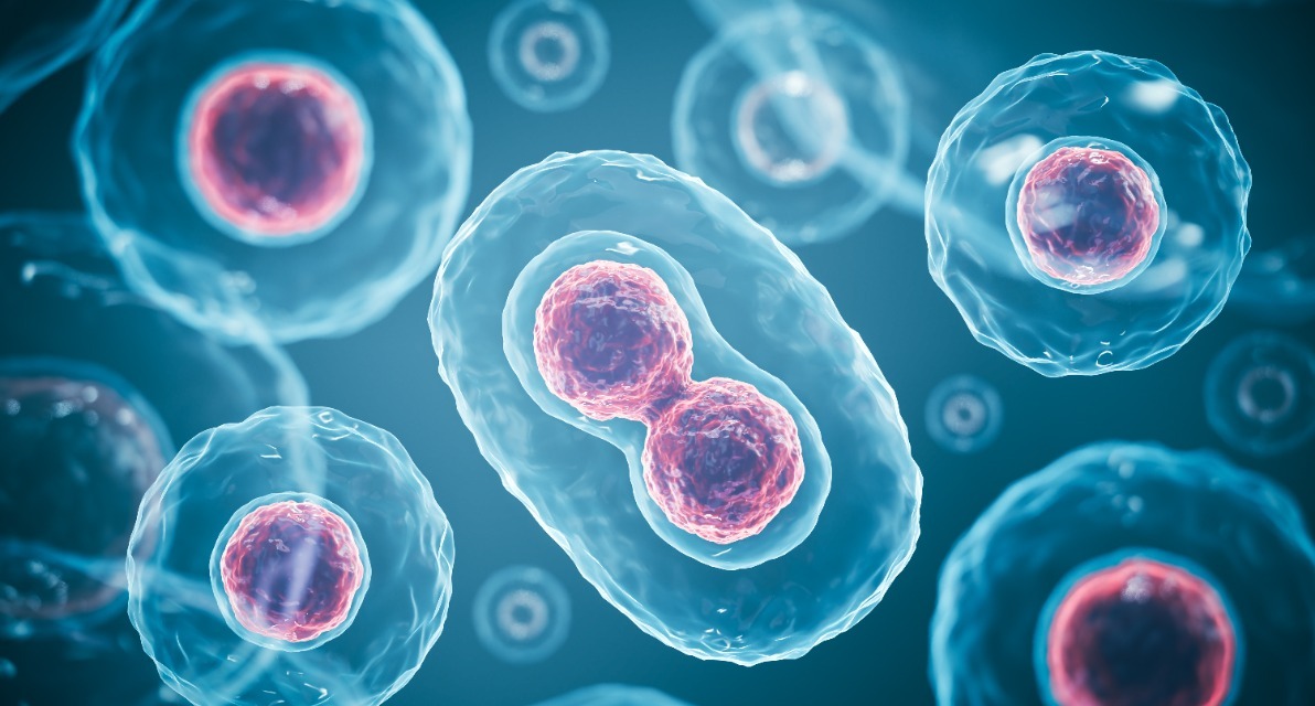 The Imaging Data Commons—a cloud-based public repository of cancer imaging data—contains 40 million de-identified cancer images.