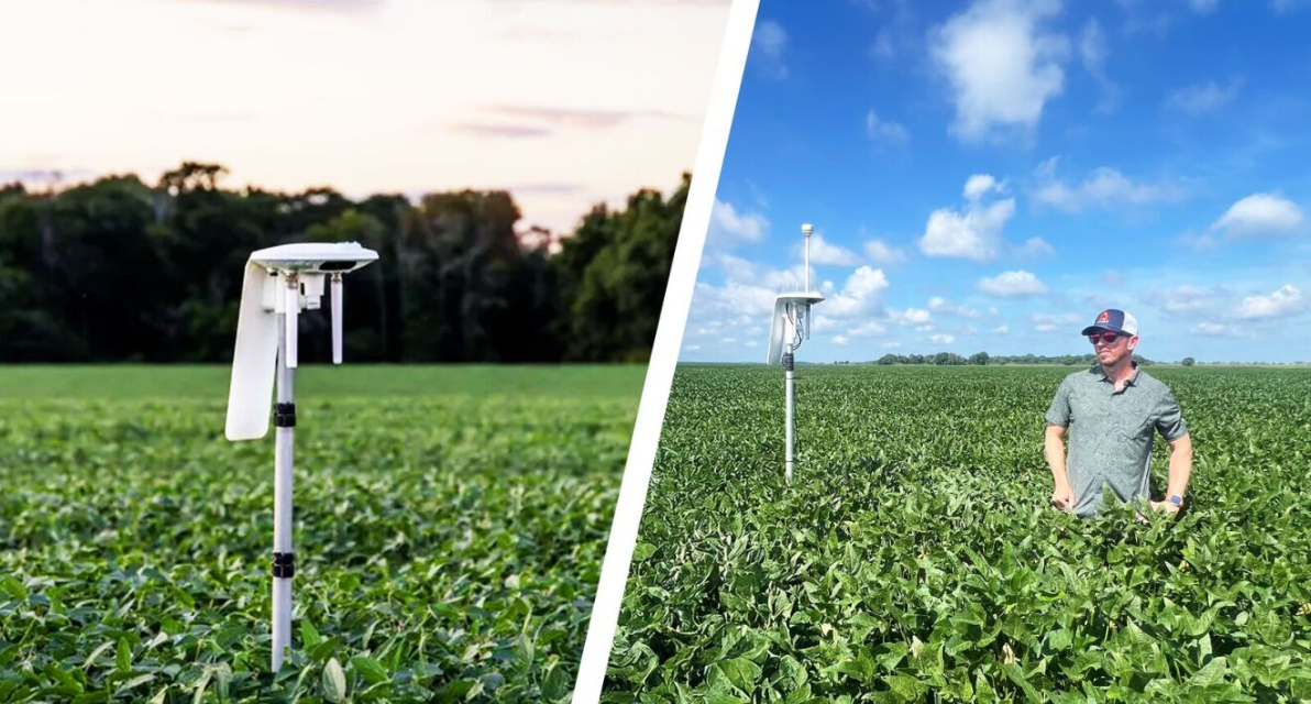 Amazon and Arable announced a smart irrigation project to save water, and benefit Mississippi farmers. 