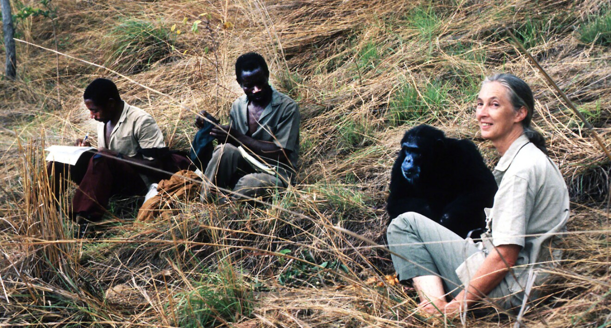 Jane Goodall and field staff at Gombe National Park, Tanzania. (Photo credit: Jane Goodall Institute)