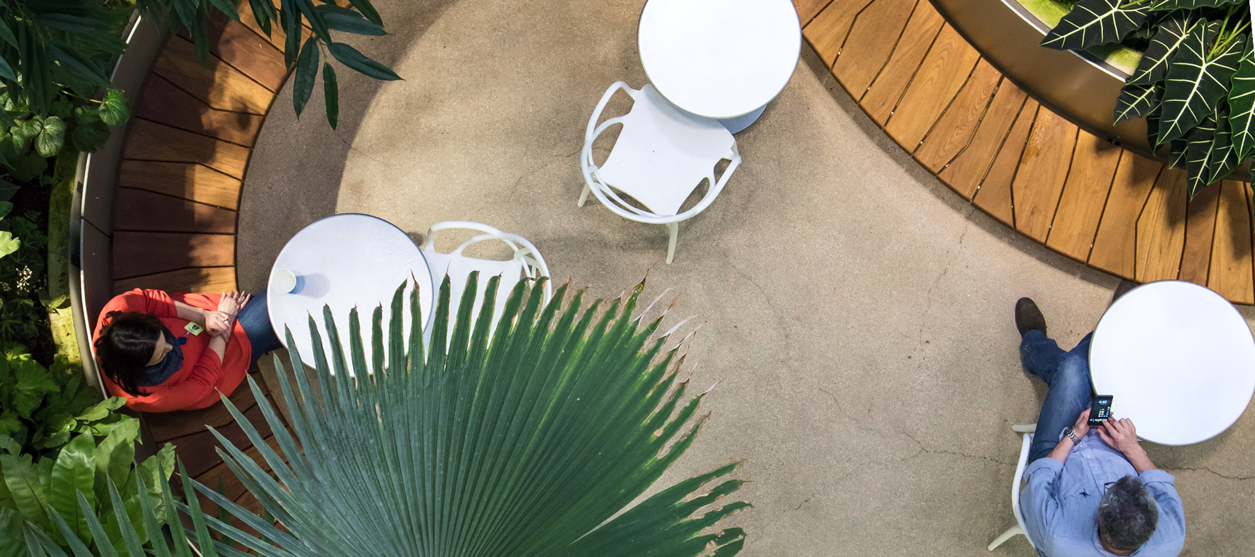 A birds-eye view of people sitting and working at small tables. 
