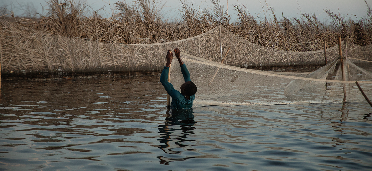 Blaise Houekin, a 41-year-old fisherman from Ganvie, Benin, maintains his family's innovative fish farm among stilt structures. Malin Fezehai for National Geographic