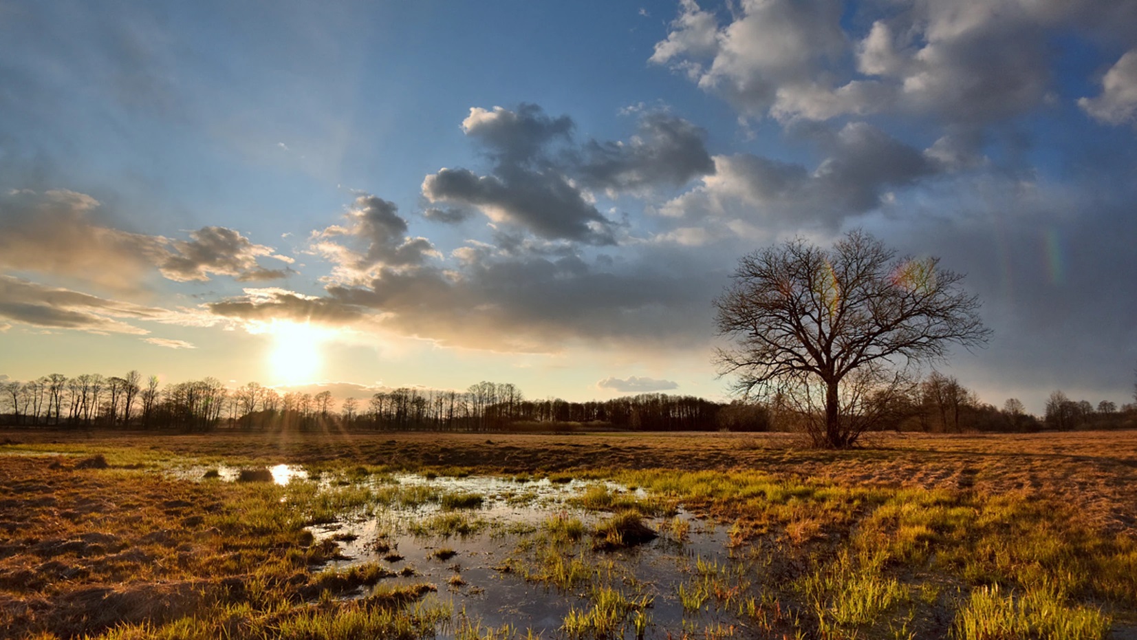 The sun setting over Kampinos National Park in Poland.