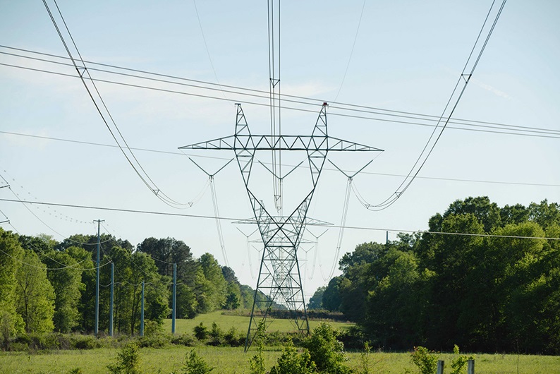 Power lines over green fields and green trees. 