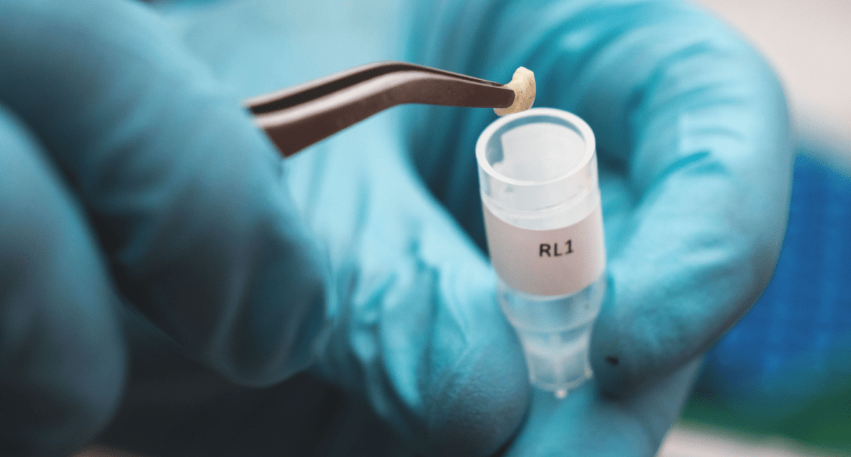 A person wearing blue gloves uses a metal tool to place a small item into a clear tube. 