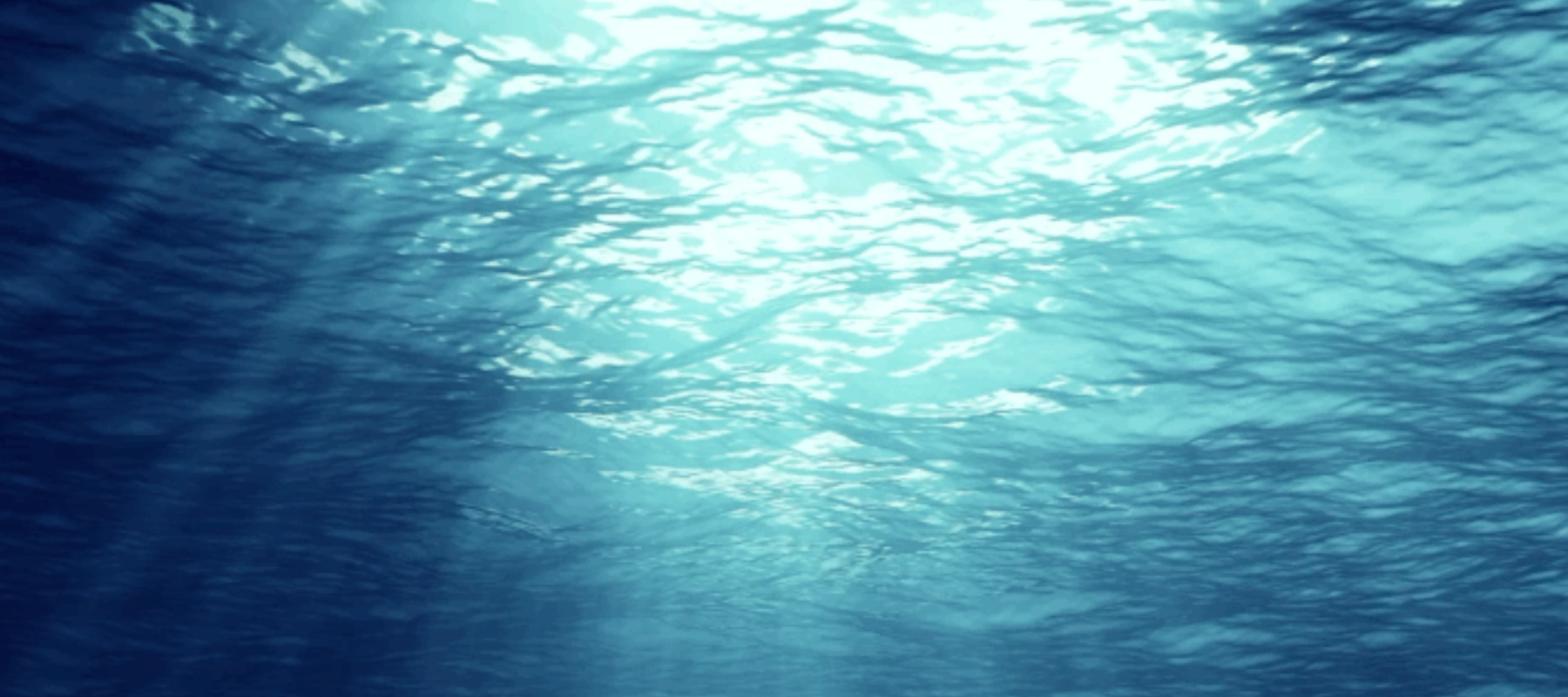 Sunlight glimmers through the ocean's surface. 