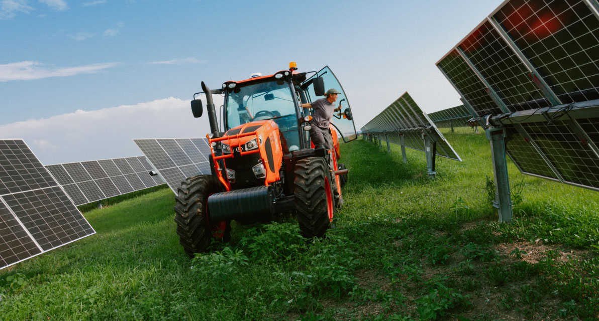 In Madison Fields, Ohio, solar is integrated with forage crop production.